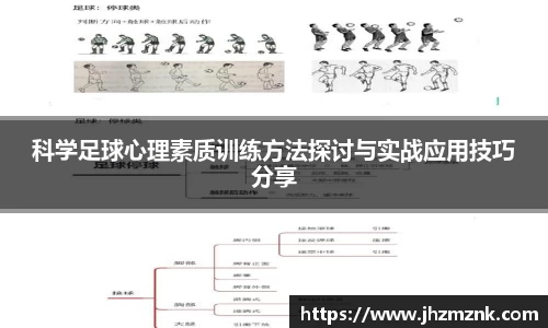 星空·综合体育官网